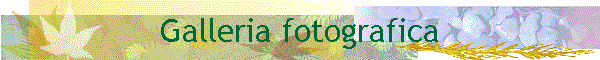 Galleria fotografica