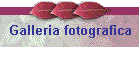 Galleria fotografica